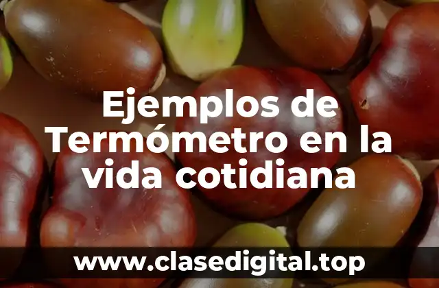 Ejemplos de Termómetro en la vida cotidiana
