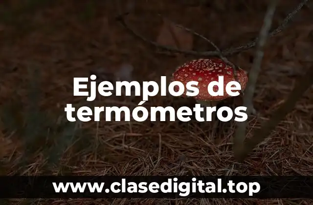 Ejemplos de termómetros