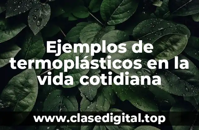 Ejemplos de termoplásticos en la vida cotidiana