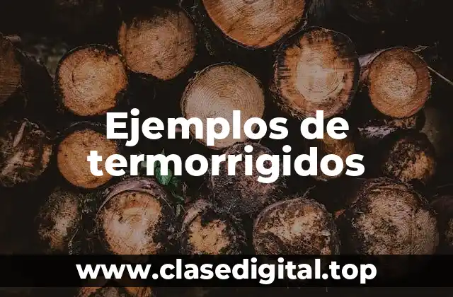 Ejemplos de termorrigidos