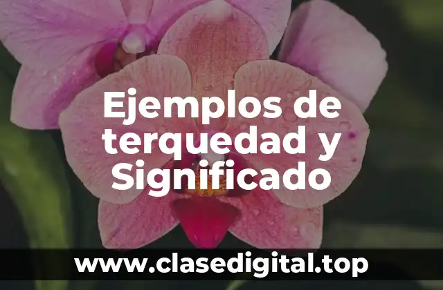 Ejemplos de terquedad y Significado
