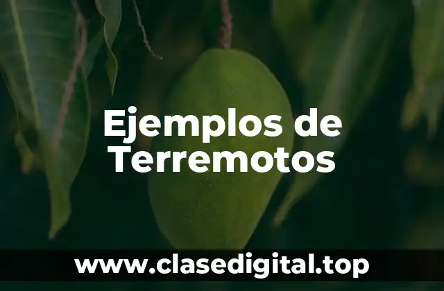 Ejemplos de Terremotos