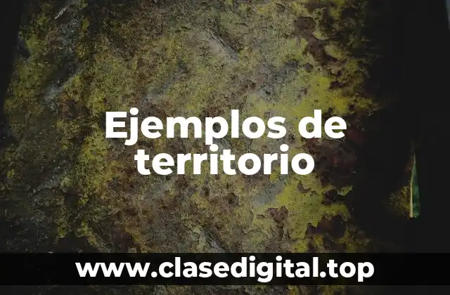 Ejemplos de territorio