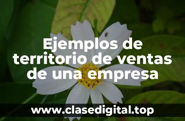 Ejemplos de territorio de ventas de una empresa