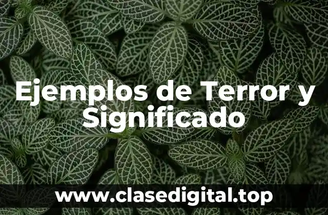 Ejemplos de Terror y Significado