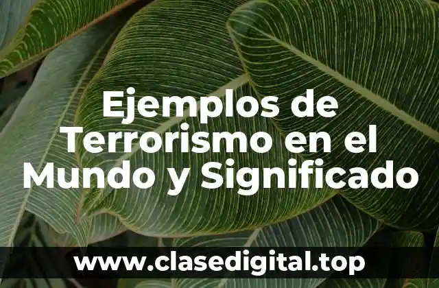 Ejemplos de Terrorismo en el Mundo y Significado
