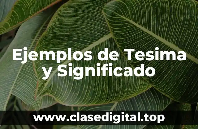 Ejemplos de Tesima y Significado