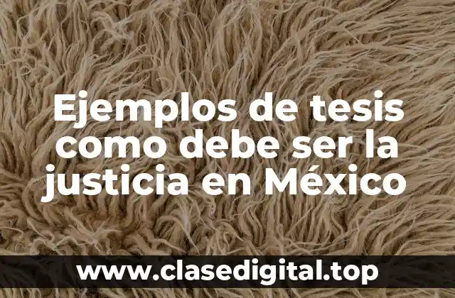 Ejemplos de tesis como debe ser la justicia en México
