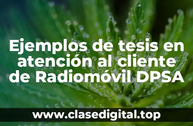 Ejemplos de tesis en atención al cliente de Radiomóvil DPSA