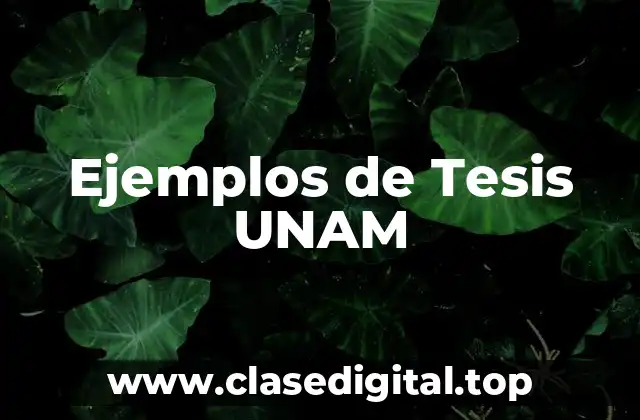 Ejemplos de Tesis UNAM