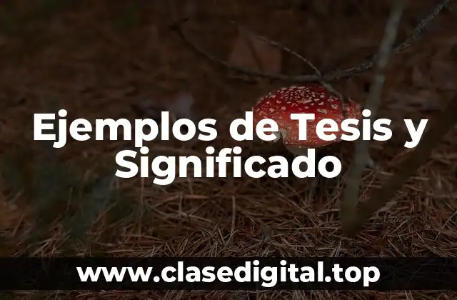 Ejemplos de Tesis y Significado