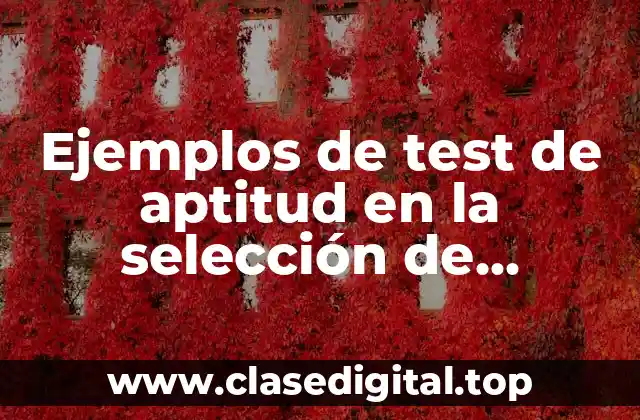 Ejemplos de test de aptitud en la selección de personal y Significado