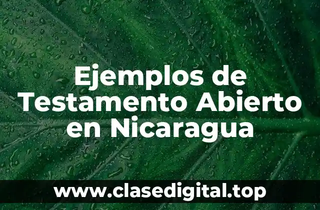 Ejemplos de Testamento Abierto en Nicaragua