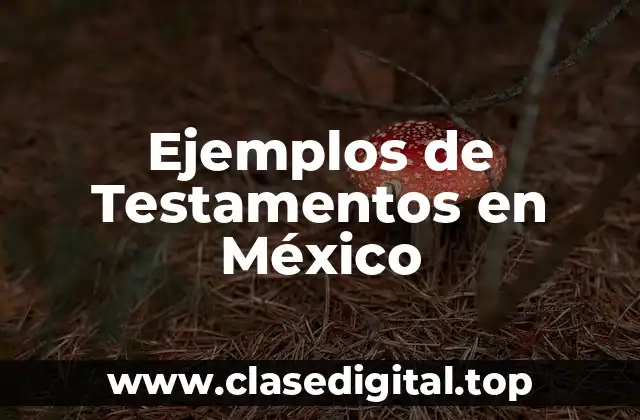 Ejemplos de Testamentos en México