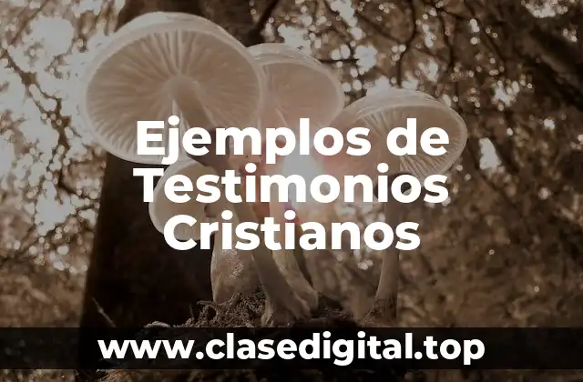 Ejemplos de Testimonios Cristianos