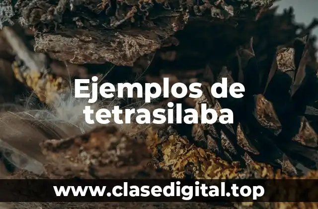 Ejemplos de tetrasilaba