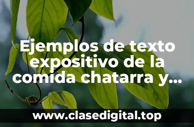 Ejemplos de texto expositivo de la comida chatarra y Significado