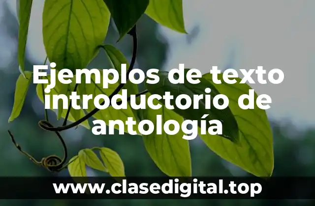 Ejemplos de texto introductorio de antología