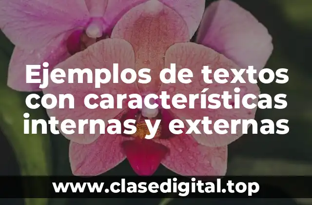 Ejemplos de textos con características internas y externas