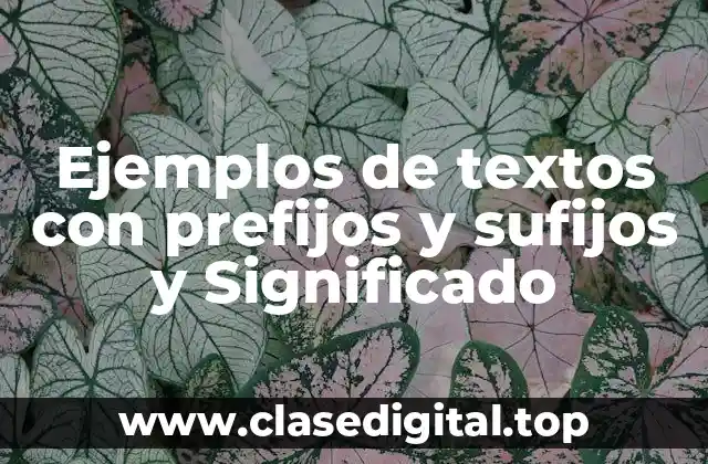 Ejemplos de textos con prefijos y sufijos y Significado