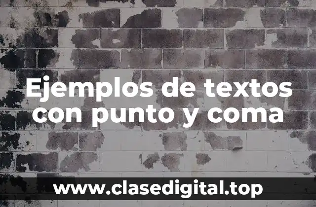 Ejemplos de textos con punto y coma