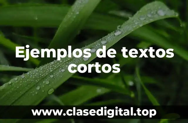 Ejemplos de textos cortos