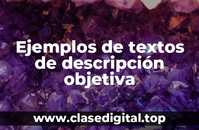 Ejemplos de textos de descripción objetiva