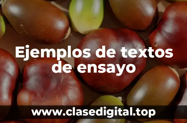Ejemplos de textos de ensayo