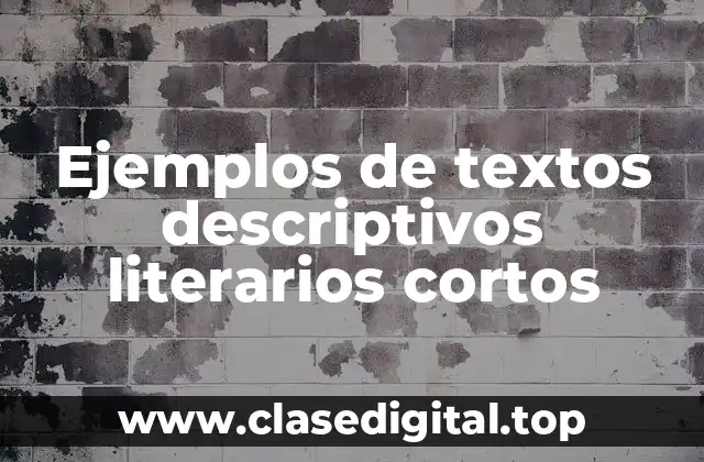 Ejemplos de textos descriptivos literarios cortos