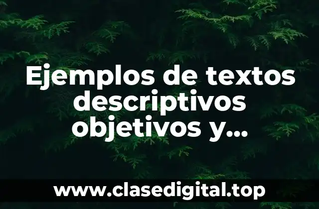 Ejemplos de textos descriptivos objetivos y subjetivos y Significado