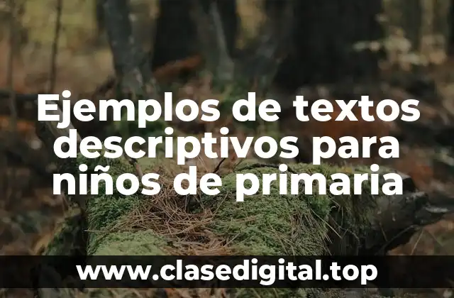 Ejemplos de textos descriptivos para niños de primaria