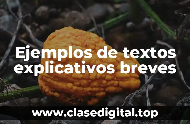 Ejemplos de textos explicativos breves