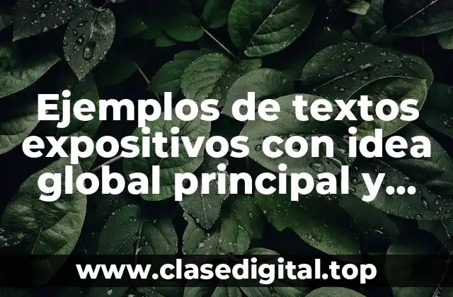 Ejemplos de textos expositivos con idea global principal y secundaria y Significado