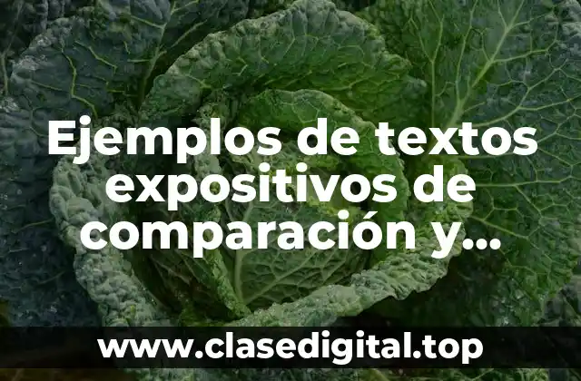 Ejemplos de textos expositivos de comparación y contraste y Significado
