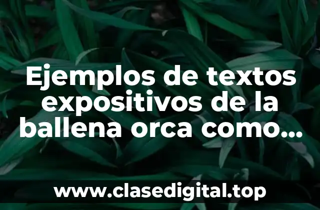 Ejemplos de textos expositivos de la ballena orca como casa