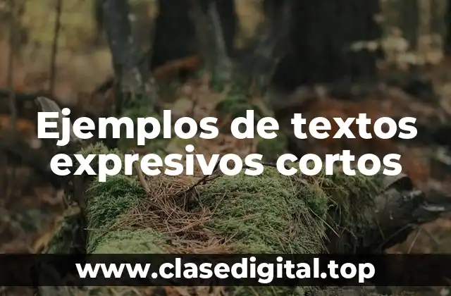 Ejemplos de textos expresivos cortos