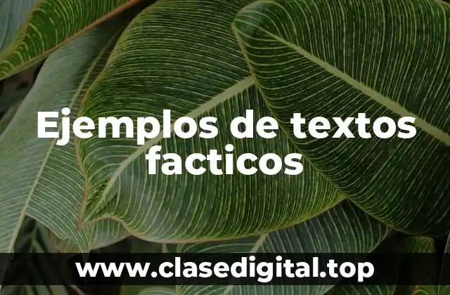 Ejemplos de textos facticos