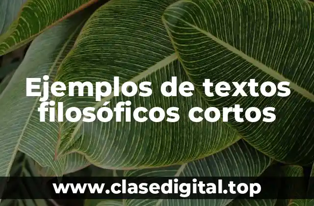 Ejemplos de textos filosóficos cortos