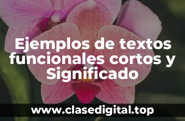 Ejemplos de textos funcionales cortos y Significado
