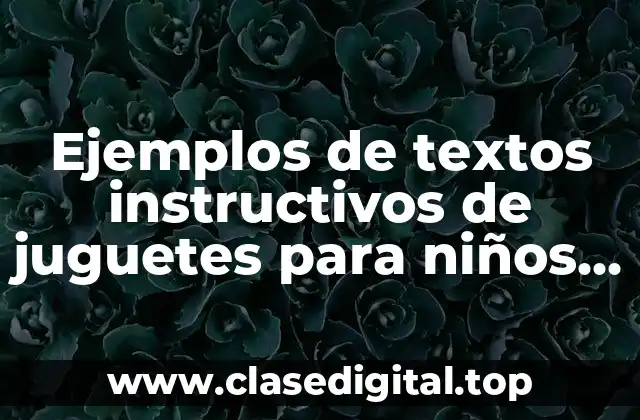 Ejemplos de textos instructivos de juguetes para niños de primaria
