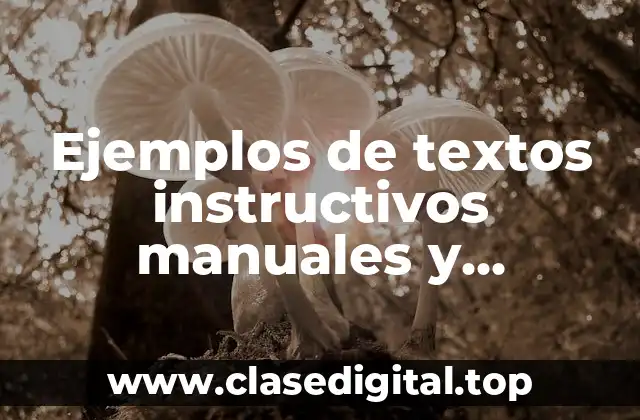 Ejemplos de textos instructivos manuales y Significado