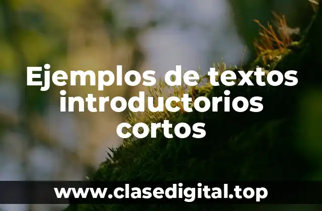 Ejemplos de textos introductorios cortos