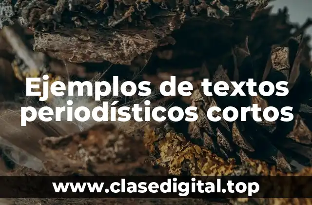 Ejemplos de textos periodísticos cortos