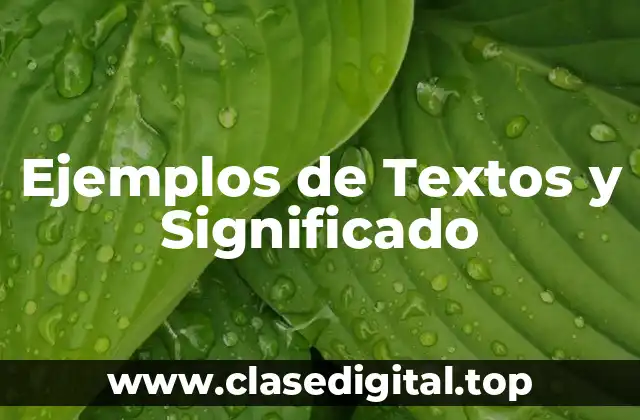 Ejemplos de Textos y Significado