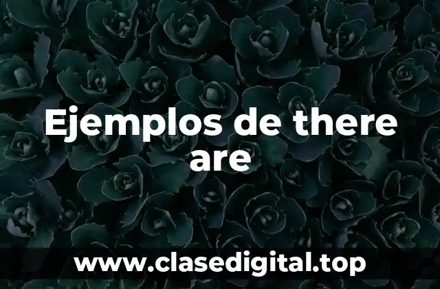 Ejemplos de there are