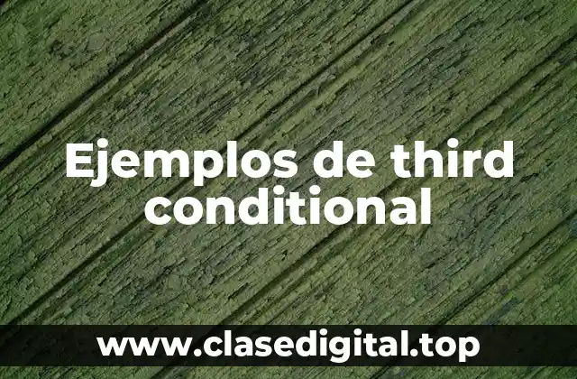 Ejemplos de third conditional
