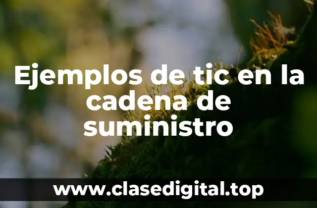 Ejemplos de tic en la cadena de suministro