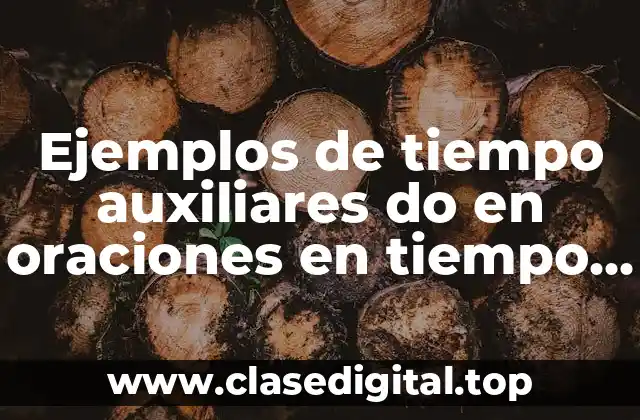 Ejemplos de tiempo auxiliares do en oraciones en tiempo presente