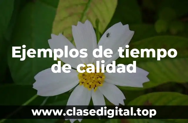 Ejemplos de tiempo de calidad