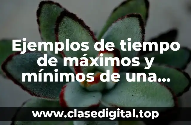 Ejemplos de tiempo de máximos y mínimos de una función